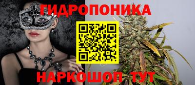 трава Братск