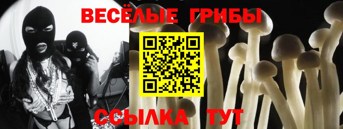 Галлюциногенные грибы Cubensis  Галлюциногенные грибы MAGIC MUSHROOMS  Верхняя Пышма  Вход с VPN 